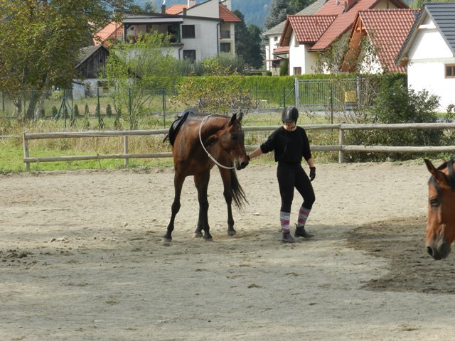 Babie Lato 2016